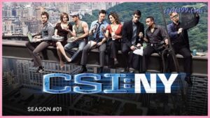 ดูซีรี่ย์ CSI NY (2004) หน่วยเฉพาะกิจสืบศพระทึกนิวยอร์ก ปี 1