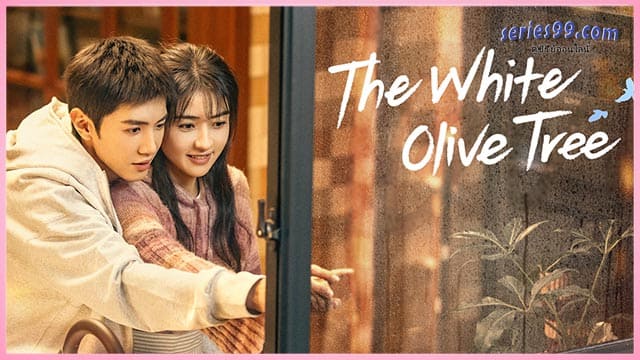 ดูซีรี่ย์ The White Olive Tree (2025) ปลูกรักพักใจ ใต้ต้นมะกอกขาว